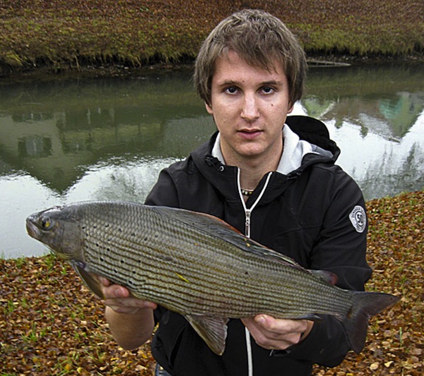 Ivan Schmid erhält vom Stucki Pro-Team den Prix Excellence Februar für seine kapitale Äsche aus dem Rheintaler Binnenkanal: 3 Pfund, 53 Zentimeter.