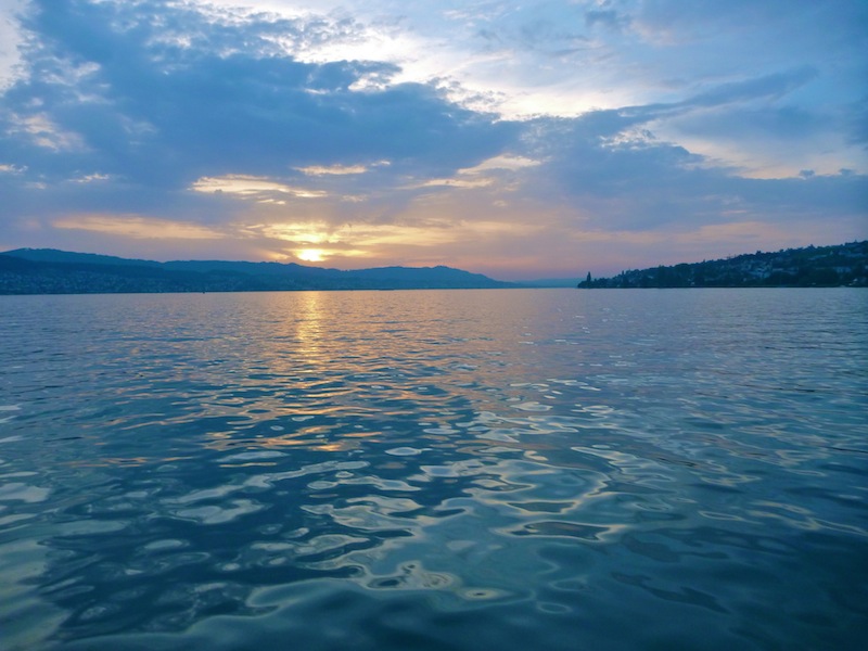 Gemäss neuen Untersuchungen sind rund 40 Prozent der früheren Formenvielfalt bei den Schweizer Felchen durch die massive Überdüngung und die Eutrophierung der Seen verschwunden. Ob auch durch extremen Nährstoffmangel lokale Felchenformen bedroht sind, ist bisher kaum erforscht.