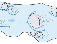 Störsteine sorgen für grössere Strömungsvielfalt. Im Idealfall führt diese auch zu mehr und wertvoller Struktur des Gewässers. Grafik: Andy Suter