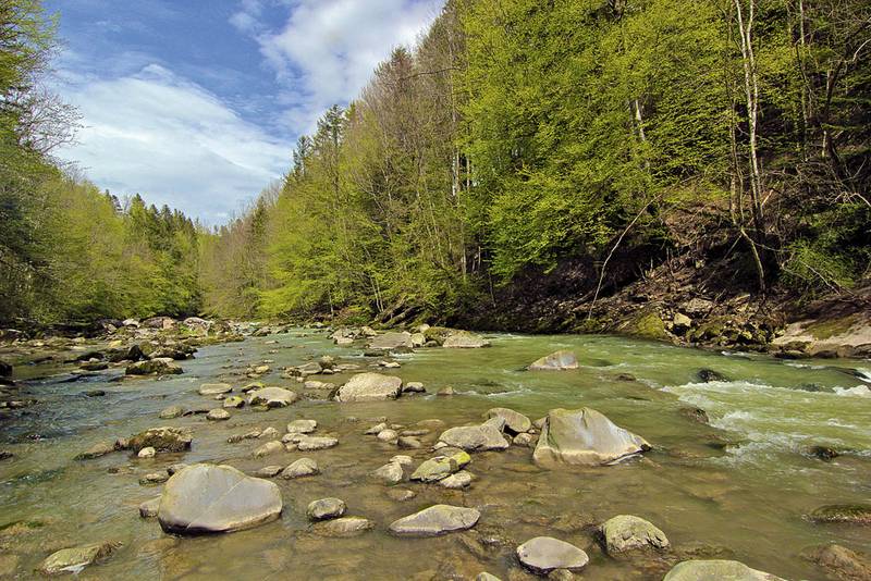 Strömungsvielfalt durch geschickt platzierte Störsteine. Das natürliche Vorbild: Die steinübersäte Sihl bietet Lebensraum in Hülle und Fülle. Foto: dal