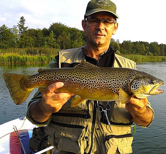 Osmo Kadribasic aus Mülligen freut sich zu Recht über diese herrliche Flussforelle aus der Aare – auch wenn er damit nicht «Rekordbrecher» wurde.