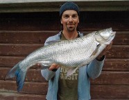 Guy Bussinger aus Reinach schreibt: «Anstatt dass die Welt unterging ging, fing ich am 21. Dezember diesen Rapfen (11 Pfund, 84 cm) mit einem selbst geschmiedeten Silberlöffel.»