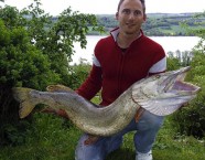 7,7 Pfund und 57 Zentimeter sind die Traummasse der neuen Allzeit-Rekord-Schleie von Mario Zihlmann aus dem Sempachersee.