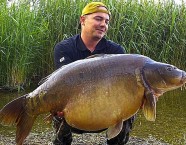 Einen wahren Monsterkarpfen zog Marko Milosavljevic im Mai 2012 aus dem Greifensee.Bei 105 Zentimeter Länge wog er heftige 50 Pfund!