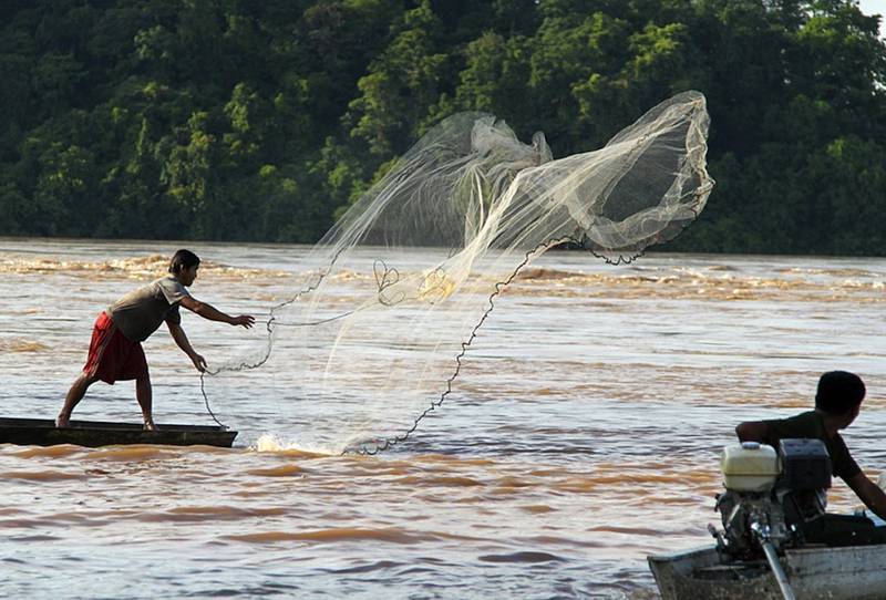Der Fischreichtum des Mekong ist durch die geplante Kraftwerks-Kette in Gefahr.