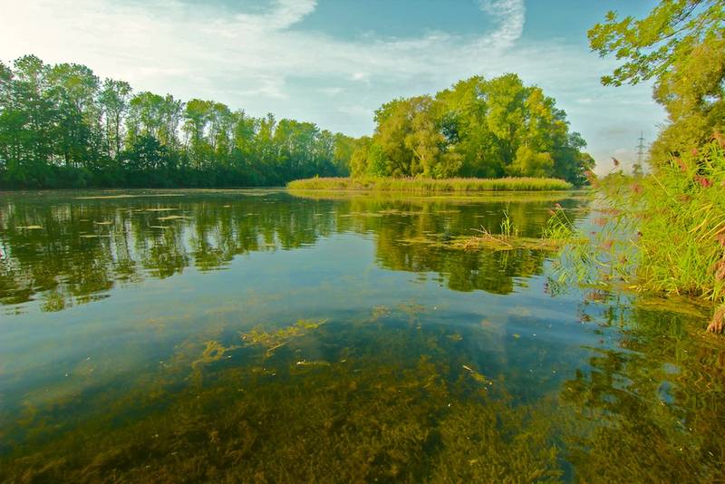 Was geschieht mit unseren Bächen und Flüssen, wenn es in Zukunft immer wärmer wird? Erste Antworten liefert das Bundesamt für Umwelt in seinen nationalen Klimastudien.