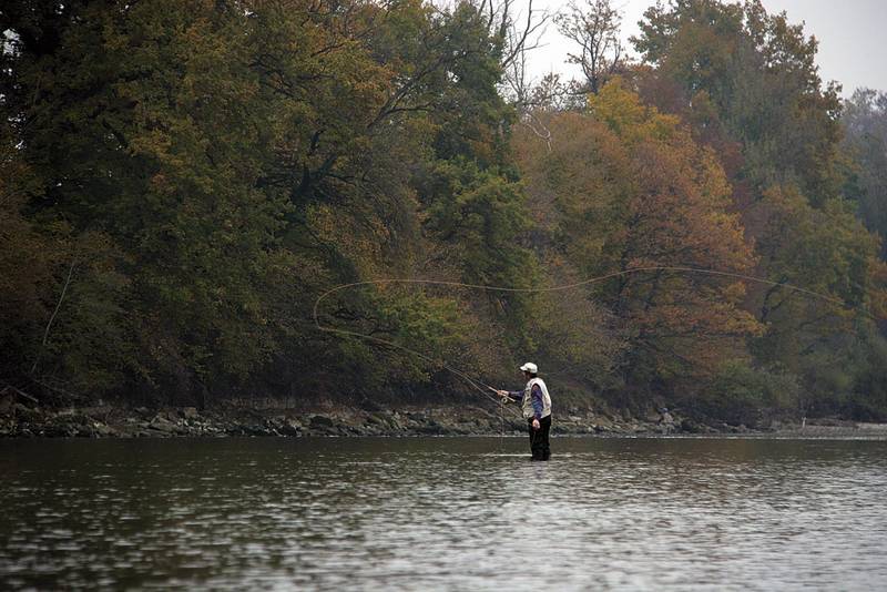 Die untere Luzerner Reuss ist ab 1. Februar 2013 ein kantonales Patentgewässer. Foto: dal