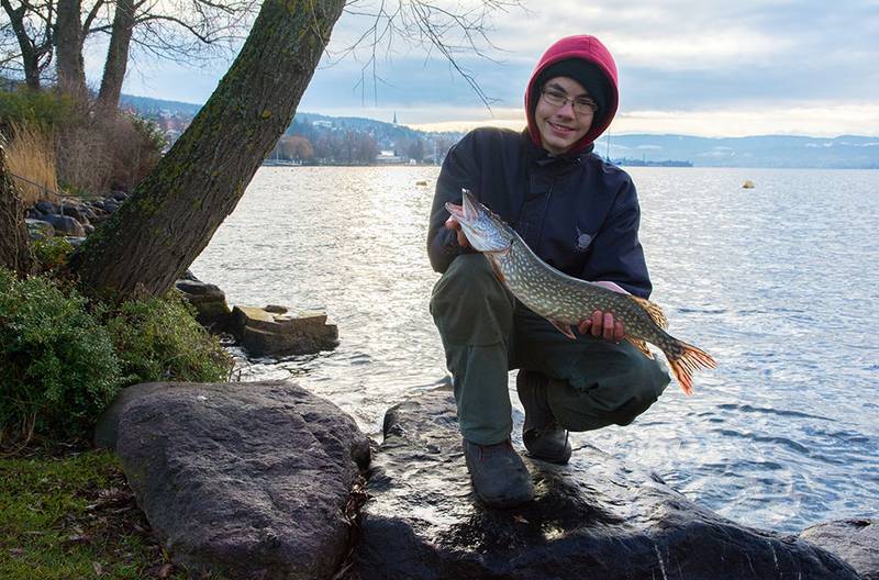 Neujahreshecht aus dem Zürichsee vom 1.1.14. Gefangen mit einem 12,5 cm Action-Shad in Ufernähe.