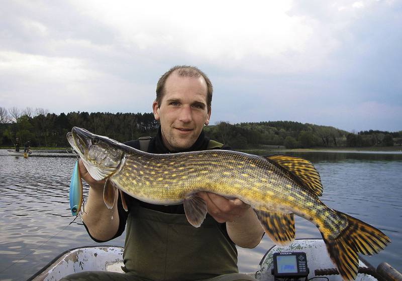Matze Wendt führt seine Hechtköder mit Erfolg ganz flach über tiefem Wasser. Fotos: Matze Wendt