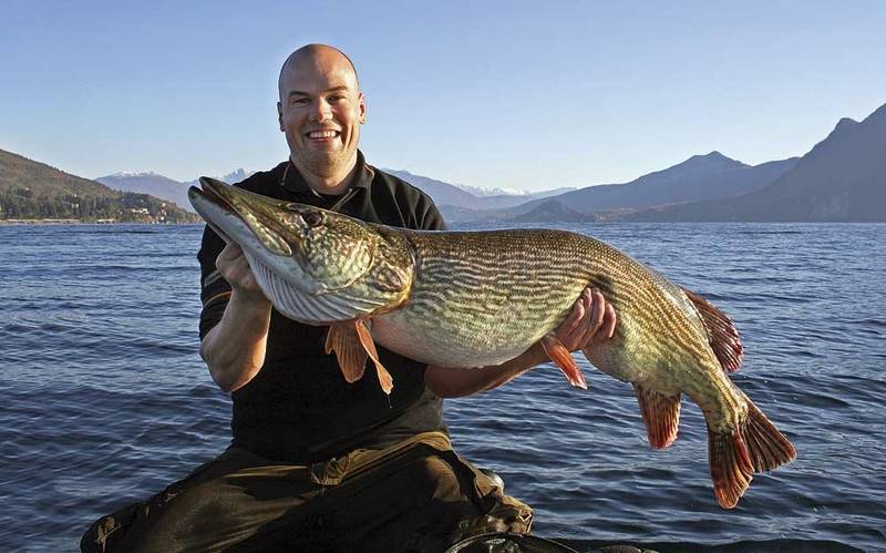 Die Glardon Stucki SA setzt für ihr Raubfischprogramm stark auf die praxiserprobten Produkte von Savage Gear. Auf dem Foto Hechtspezialist und Produkteentwickler Christian «The Joker» Möller.