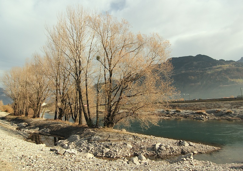 Am umfassend renaturierten Linthkanal-Abschnitt Biäsche bei Weesen darf ab 1. April wieder auf Forellen gefischt werden.