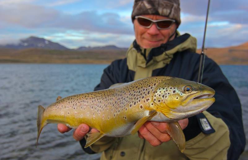 Sie träumen von grossen Forellen in unberührter Wildnis? Eine Reise in den hohen Norden oder den tiefen Süden könnte diese Sehnsucht stillen.