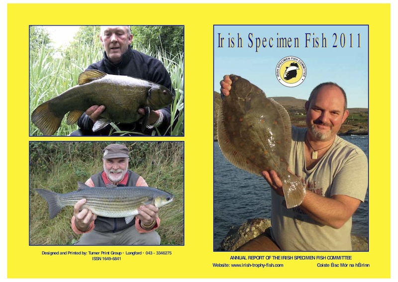 Die gelbe Broschüre (in Englisch) können Sie als pdf am Ende des Artikels downloaden.