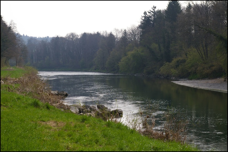 Die Thur-Reviere des FV Andelfingen, wie hier die Ossinger Schleife, sind streckenweise wunderschön. Wenn künftig auch der Fischbestand wieder so gut aussieht, muss man nicht mehr in die Fischerferien.