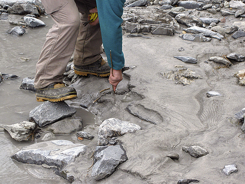 Eine dicke Schicht mit Schlick überlagert den Flussgrund – ein Totalausfall des Forellen­nachwuchses ist zu befürchten.