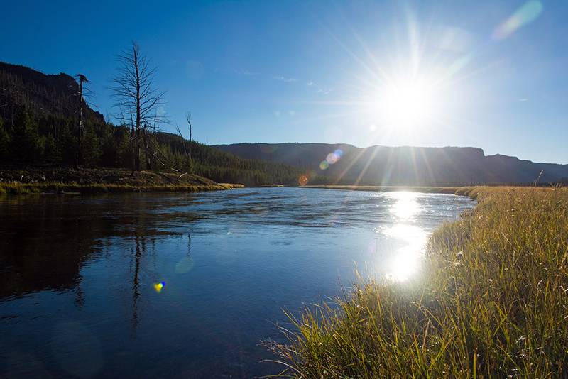 Der Madison in bestem Licht