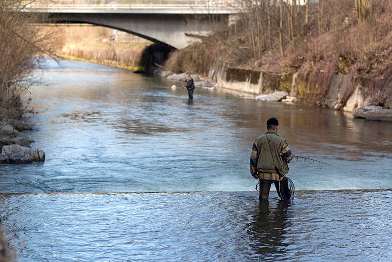 Wer die Berner Fangstatistik pünktlich abgibt, kann ein Gratispatent gewinnen.
