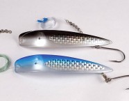 Rainer Korns absoluter Lieblings-Schleppköder für Meerforelle: der kanadische Apex.