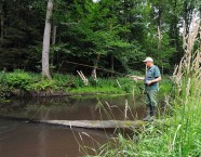 Umgestürzte Bäume sind beliebt bei Bachforellen. Am liebsten stehen sie im ausgespülten Bereich dahinter.