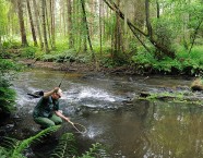 An der Rausche darf man davor und dahinter mit einer Bachforelle rechnen.