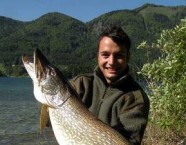 Kapitaler Hecht aus dem Fuschlsee.