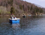 Aufnahmen während des Internationalen Hegefischens um die Fuschlsee-Renke.