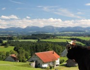 Traumhafte Ausblicke zu jeder Jahreszeit