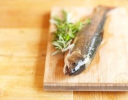 Frische Zubereitung der Fische