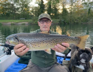 Aare-Bachforelle, 55 cm, 4,3 Pfund