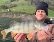 Alpnachersee-Egli, 46 cm, 22 Pfund