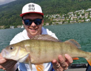 Bielersee-Egli, 47 cm, 2,5 Pfund