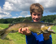 Binnenkanal-Bachforelle, 52 cm, 2,8 Pfund