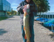 Bodensee-Hecht, 125 cm, 24 Pfund