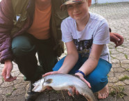 Waldisee-Seesaibling, 50 cm, 2,5 Pfund