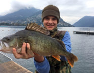 Luganersee-Egli, 49 cm, 3,5 Pfund