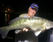 Luganersee-Zander, 83 cm, 142 Pfund