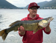 Luganersee-Zander, 89 cm, 15 Pfund
