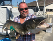 Neuenburgersee-Hecht, 118 cm, 23,1 Pfund