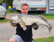 Neuenburgersee-Zander, 94 cm, 11 Pfund