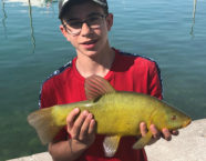 Pfäffikersee-Schleie, 52 cm