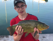 Pfäffikersee-Schleie, 54 cm