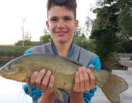 Pfäffikersee-Schleie, 55 cm