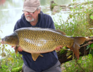 Reuss-Karpfen, 89 cm, 29 Pfund