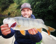 Wägitalersee-Egli, 45 cm