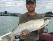 Zugersee-Felche, 60 cm, 38 Pfund