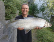 Zugersee-Felche, 62 cm, 4,4 Pfund