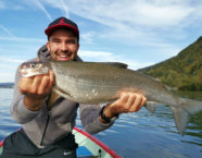 Zugersee-Felche, 64 cm, 8 Pfund