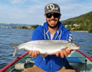 Zugersee-Felche, 53 cm, 4,2 Pfund