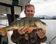 Zürichsee-Egli, 45 cm, 22 Pfund