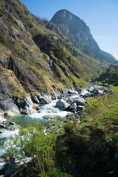 Der Chärstelenbach im Mittellauf